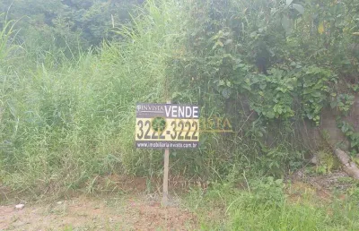 Terreno à venda na Rua Do Ipê, 1, São Francisco, Santo Amaro da Imperatriz