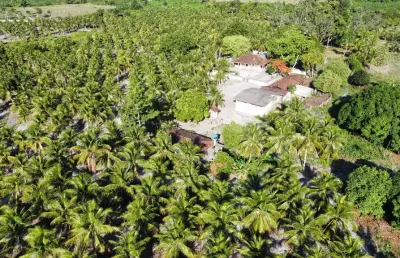 Propriedade rural à venda – 70 hectares no município do conde/pb