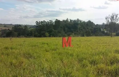 Terreno à venda, 20000 m² por r$ 2.300.000,00 - cruz das almas - porto feliz/sp