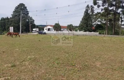 Terreno à venda na Avenida Presidente Ernesto Geisel, Lote 09, Colonia Witmarsum, Palmeira