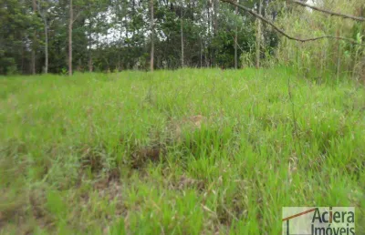 Terreno em condomínio fechado à venda na Avenida José Giorgi, Granja Viana II, Cotia