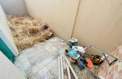 Apartamento com 3 quartos à venda no jardim leblon, belo horizonte  por r$ 360.000