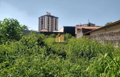 Terreno comercial para alugar na Avenida São Luiz, Vila Rosália, Guarulhos