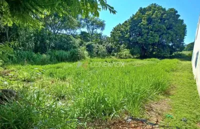 Terreno comercial à venda na avenida doutor romeu tortima, s/n, cidade universitária, campinas por r$ 1.400.000