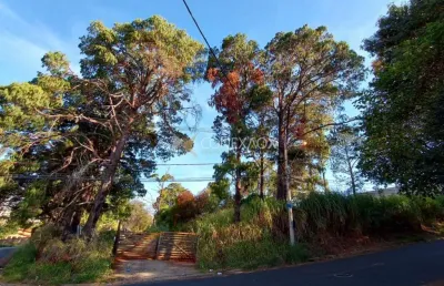 Terreno comercial à venda na rua lauro vannucci, 690, parque rural fazenda santa cândida, campinas por r$ 4.990.572
