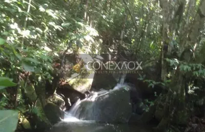Fazenda à venda na estrada cristóvão machado de campos, 4407, vargem grande, florianópolis, 60 m2 por r$ 2.800.000