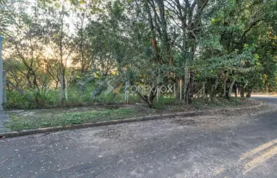 Terreno à venda na rua álvaro alves fussi, 221, jardim botânico (sousas), campinas por r$ 328.000
