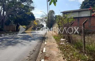 Terreno à venda na rua giuseppe máximo scolfaro, 274, cidade universitária, campinas por r$ 370.000