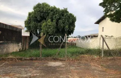 Terreno comercial à venda na rua carolina prado penteado, 1.101, nova campinas, campinas por r$ 1.021.000