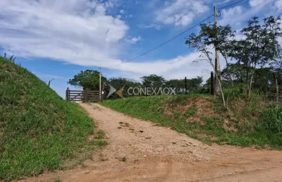 Terreno comercial à venda na hilda david dal'bo, 1,8, guedes, jaguariúna, 300 m2 por r$ 6.000.000