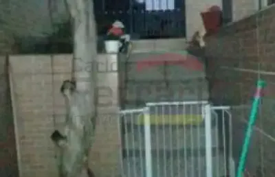 Casa na zona norte parada inglesa a 5 minutos do metro