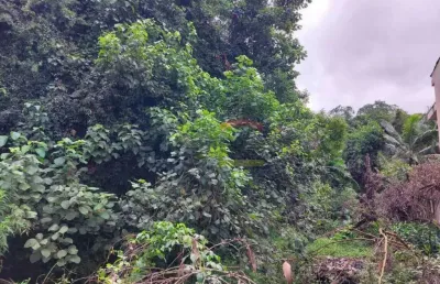 Terreno em condomínio fechado à venda na Avenida Nova Cantareira, 3924, Tucuruvi, São Paulo