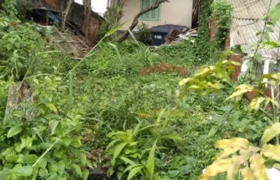 Terreno à venda na Rua Simão Borges, 396, Vila Maria Alta, São Paulo