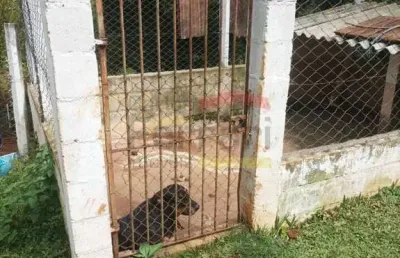Chácara / sítio com 6 quartos à venda na Est Ouro Fino Pedra Branca, Ouro Fino, Santa Isabel