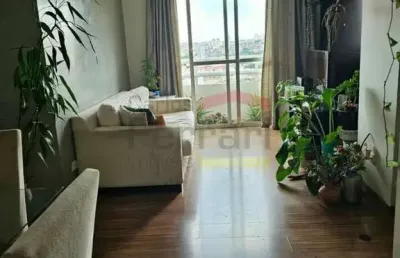 Apartamento  3 dormitórios  2 vagas - parque mandaqui