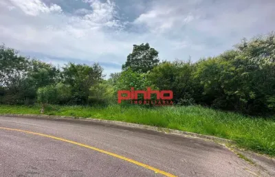 Terreno à venda, 550 m² por r$ 700.000,00 - roçado - são josé/sc