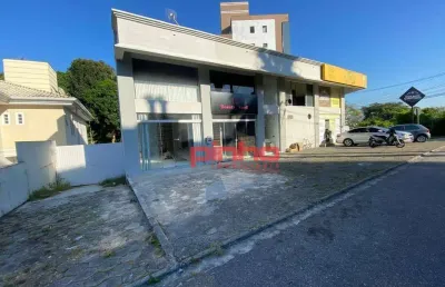 Loja para alugar, 70 m² por r$ 3.014,80/mês - pedra branca - palhoça/sc