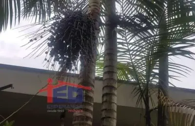 Casa com 5 quartos à venda na Bela Vista, Osasco 