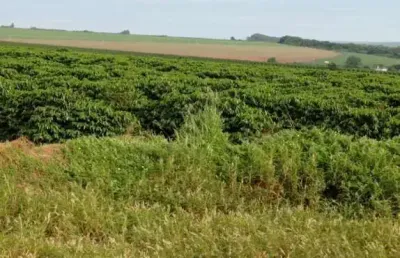 Fazenda à venda na Avenida Francisco de Paula Quintanilha Ribeiro, 1000, Parque Francal, Franca