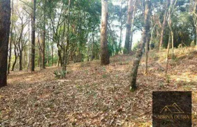 Terreno comercial à venda na Estrada Haroldo Soares Glavan, Cacupé, Florianópolis