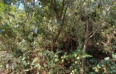 Chácara / sítio com 1 quarto à venda na Vereda das Figueiras, Retiro Vale do Sol, Embu das Artes
