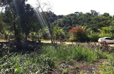 Chácara / sítio à venda na Avenida das Hortências, 111111, Comunidade Urbana de Lagoa Dourada, Guarapari