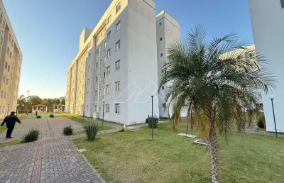 Apartamento com 2 quartos à venda na Rua Anneliese Gellert Krigsner, 2001, Afonso Pena, São José dos Pinhais