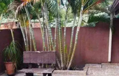 Casa com 3 quartos à venda na Rua Agostinho Razente, 435, Jardim Planalto Verde, Cambé