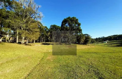 Chácara á venda em marmeleiro - almirante tamandaré