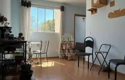 Oportunidade, apartamento à venda na morada do ouro, parque chapada das oliveiras