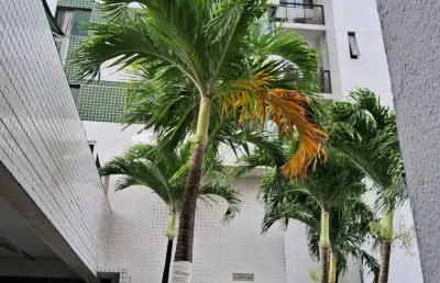 Apartamento com 2 quartos para alugar na Avenida Caxangá, 1, Madalena, Recife