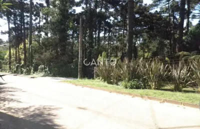 Fazenda à venda na rua francisco buzato, 329, área rural de almirante tamandaré, almirante tamandaré, 110 m2 por r$ 1.800.000