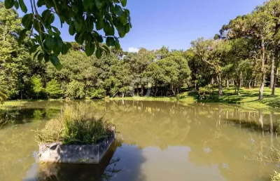 Chácara / sítio com 3 quartos à venda na estrada arlindo inácio mombach, centro, campina grande do sul por r$ 4.000.000