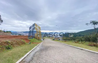 Terreno à venda na rua rodrigo rampinelli jeremias, --, itacorubi, florianópolis por r$ 1.300.000