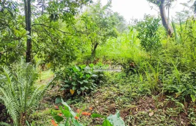 Chácara / sítio com 2 quartos à venda na Estrada do Caibro, --, Barragem, São Paulo