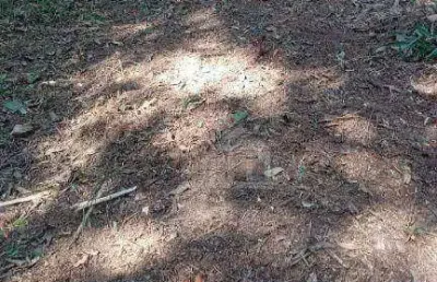 Terreno à venda na Rua Tomekichi Inouye, --, Colônia (Zona Sul), São Paulo