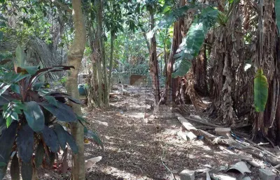 Terreno comercial à venda na Rua dos Secadouros, --, Vila Carmosina, São Paulo
