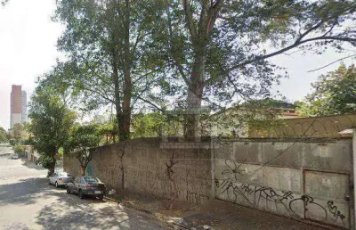 Terreno comercial para alugar na Rua Professora Heloísa Carneiro, --, Jardim Aeroporto, São Paulo