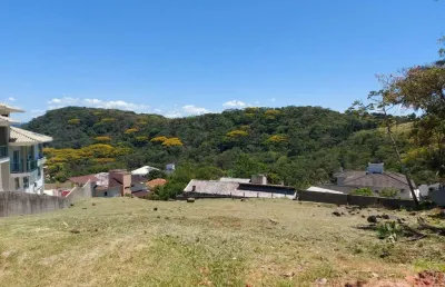 Terreno em condomínio fechado à venda na Rua dos Cafezais, 420, Bosque das Mansões, São José