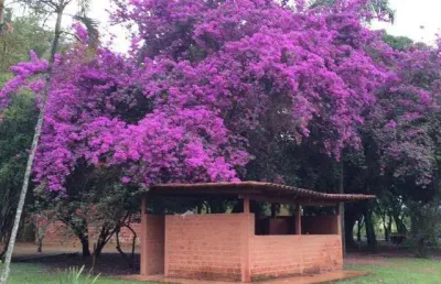 Chácara / sítio com 4 quartos à venda no Brazlândia, Brasília 