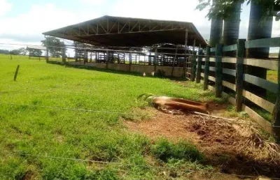 Chácara / sítio à venda na Rua Nova, Jardim Nova Esperança, Goiânia