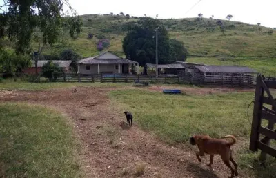 Chácara / sítio à venda na Rua Nova, Jardim Nova Esperança, Goiânia