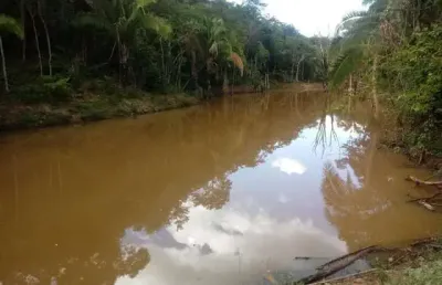Fazenda 61 alqueires no mun padre bernardo terra apropriada para gado