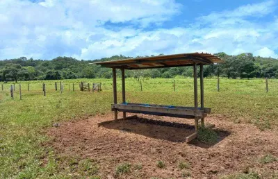 Chácara / sítio à venda na Avenida Central, Jardim Nova Esperança, Goiânia