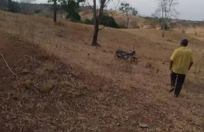 Chácara / sítio à venda na Avenida Central, Jardim Nova Esperança, Goiânia