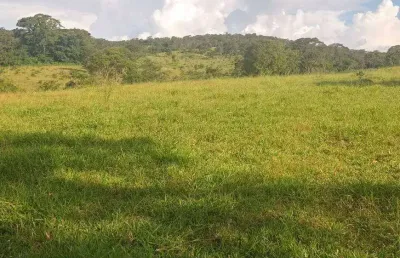 Chácara / sítio com 2 quartos à venda na Avenida Central, Jardim Nova Esperança, Goiânia