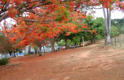 Chácara / sítio com 3 quartos à venda na Avenida Central, 5, Jardim Nova Esperança, Goiânia