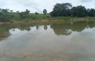 Fazenda com 3 salas à venda na Avenida Central, 6, Jardim Nova Esperança, Goiânia