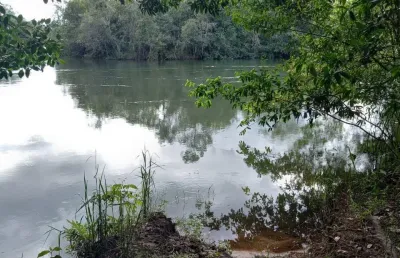 Fazenda com 3 salas à venda na Avenida Central, Jardim Nova Esperança, Goiânia