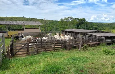 Fazenda à venda na Avenida Bernardo Sayão, 10, Setor Centro Oeste, Goiânia